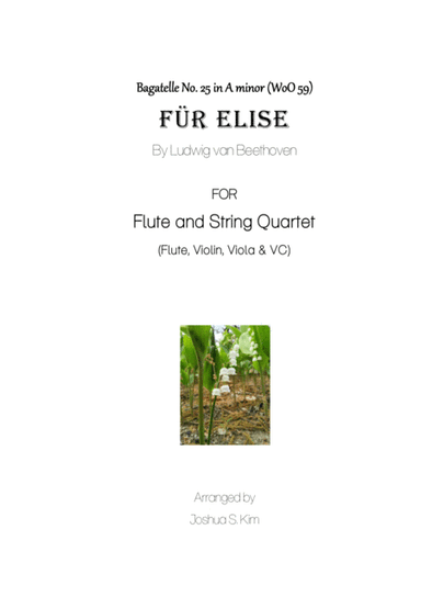 Fur Elise for Flute and String Quartet (arr. Joshua S. Kim)
