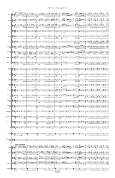 Sleeping Beauty Waltz for orchestra (arr. Editions Glenn Michael, Caracas, Venezuela)