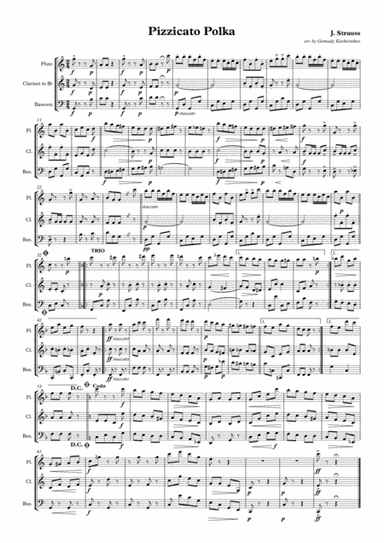 J. Strauss, Pizzicato Polka (arr. Gennady Kozhevnikov)