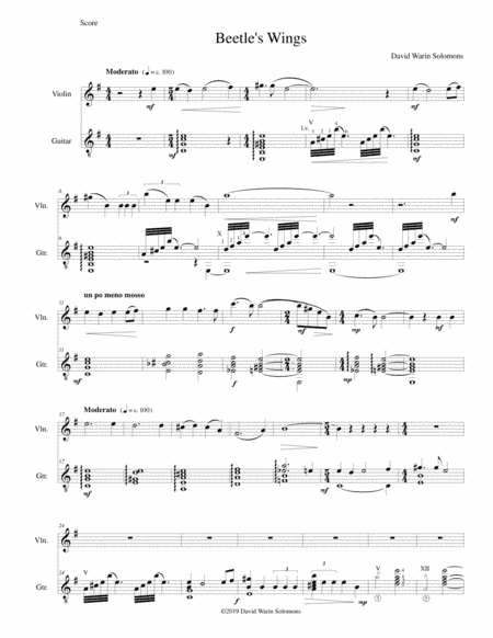 Beetle's Wings for violin and guitar