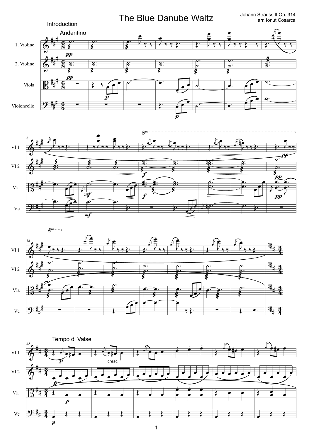 The Blue Danube (arr. Ionut Cosarca)