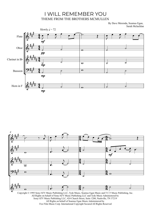 I Will Remember You (arr. Alex Nunes Rodrigues)