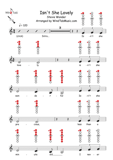 Isn't She Lovely (arr. WindTab)