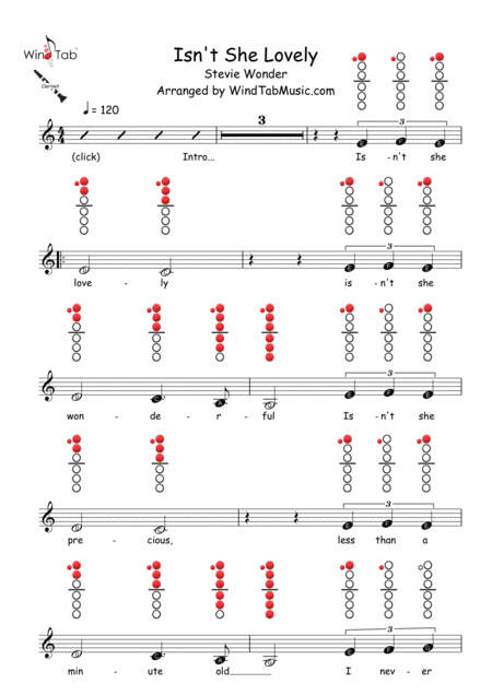 Isn't She Lovely (arr. WindTab)