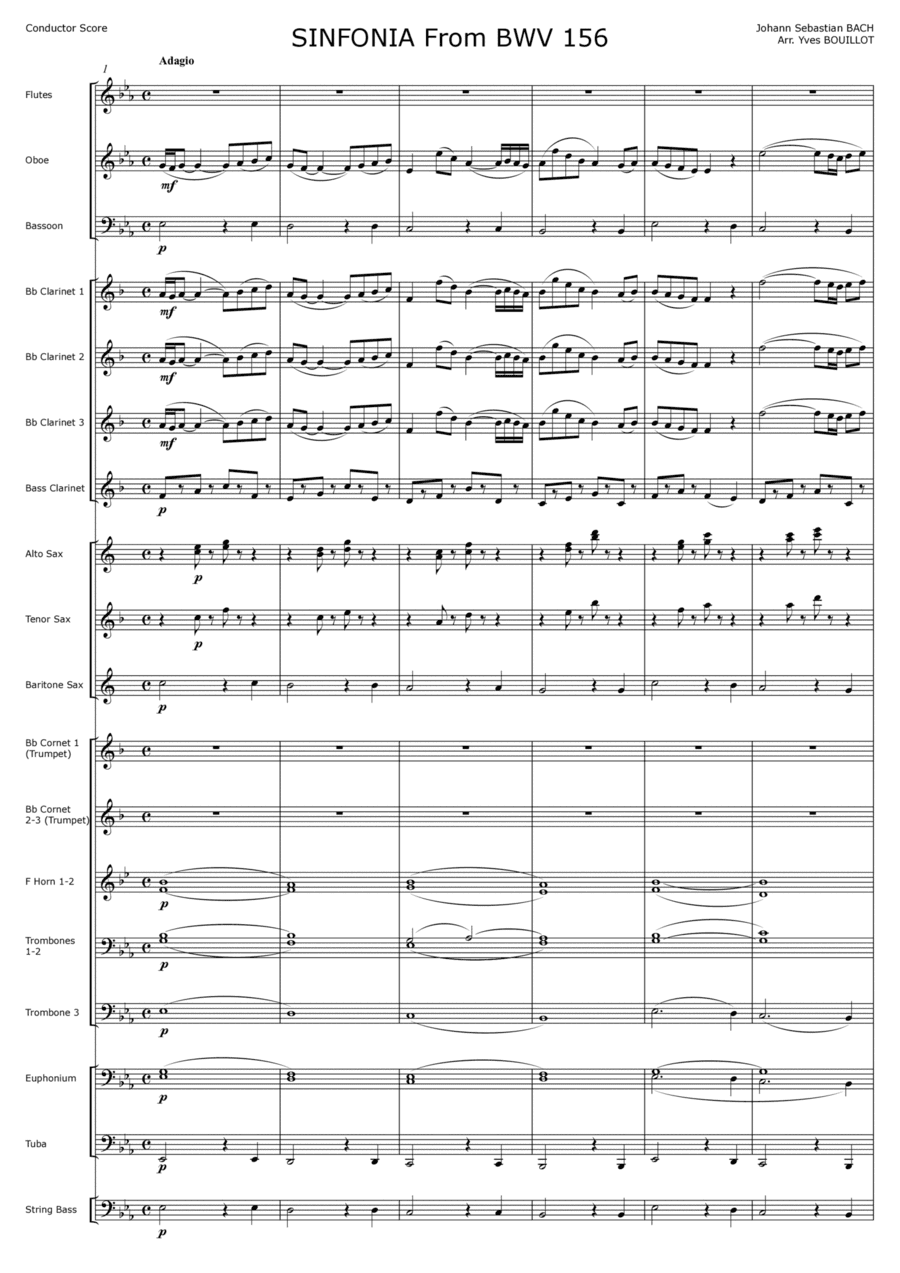 Sinfonia from Cantate 156 (arr. Yves Bouillot)