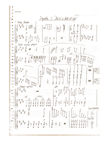 Impromptu no.1 (arranged for violin duet) op.1