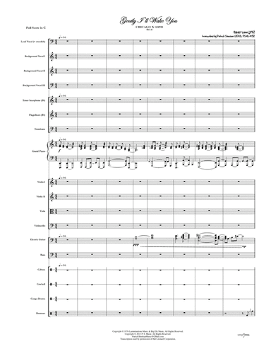 Gently I'll Wake You (arr. Patrick Sheehan)