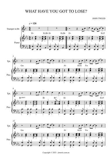 What Have You Got To Lose? - Trumpet and Piano