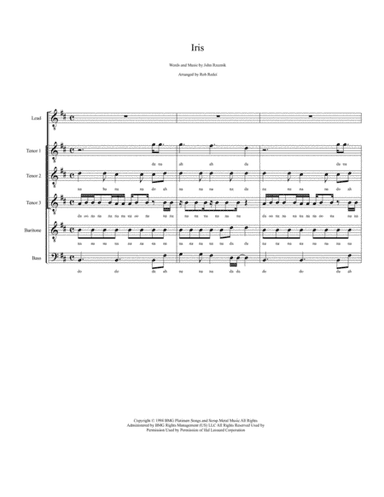 Iris (arr. Rob Redei)