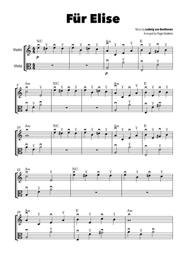 Für Elise (arr. Tiago Cordeiro)