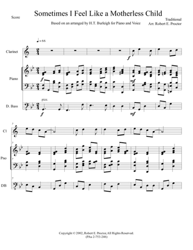 Sometimes I Feel Like a Motherless Child (arr. Robert E. Proctor)