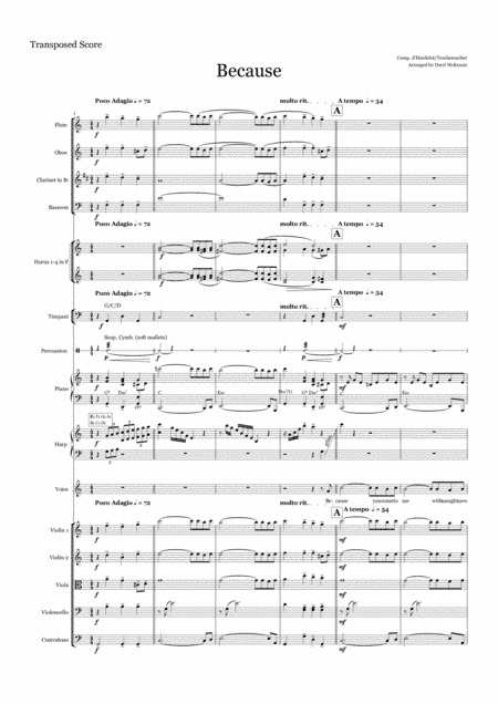 Because arranged for Tenor Voice and Chamber Orchestra (arr. Daryl McKenzie)