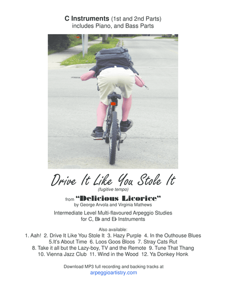Drive it Like You Stole it- flute, violin, or accordion