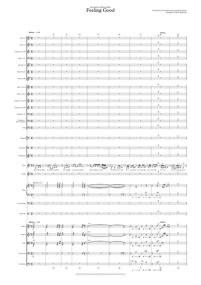 Feeling Good (arr. Daryl McKenzie)