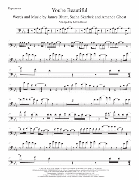 You're Beautiful (arr. Kevin Busse)