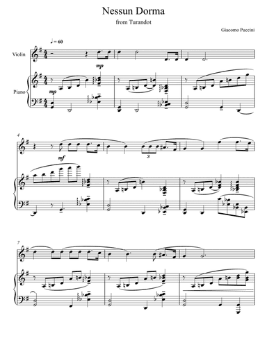 Giacomo Puccini - Nessun Dorma - Turandot (Violin Solo) (arr. André Laitano)