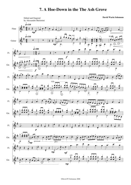 Hoe Down in the Ash Grove (flute and guitar) (arr. David Warin Solomons)