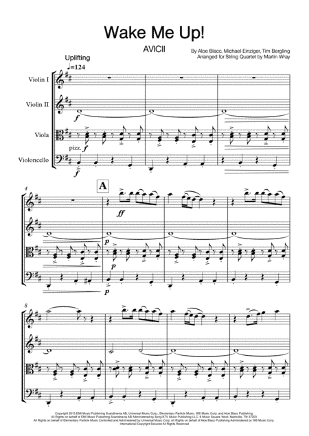 Wake Me Up (arr. Martin Wray)