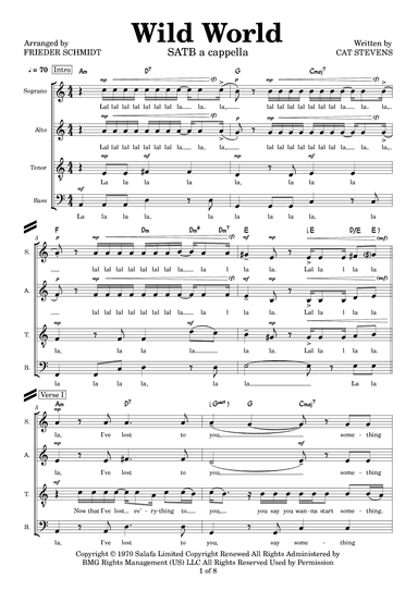 Wild World (arr. Frieder Schmidt)