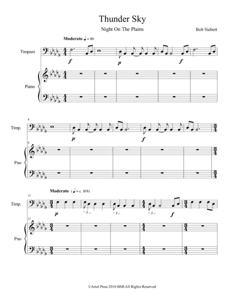 Thunder Sky Night on the Plains