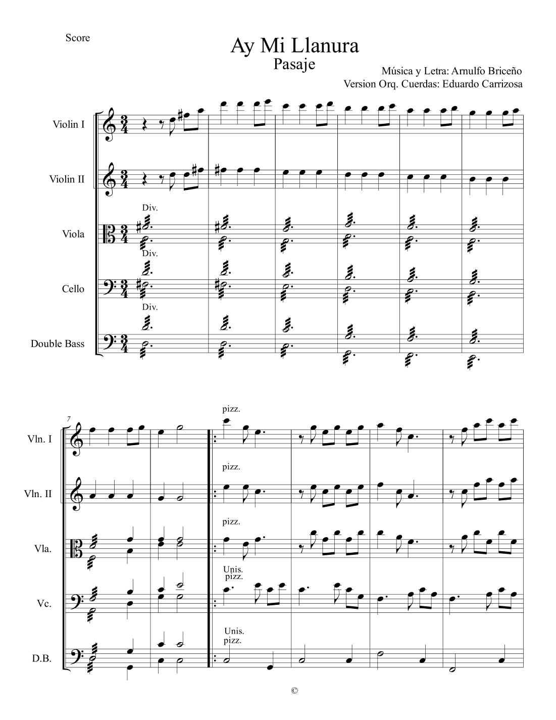 Ay mi LLanura (arr. Eduardo Carrizosa)