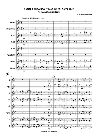 I Wish I Knew How It Would Feel To Be Free (arr. Katie Brown)
