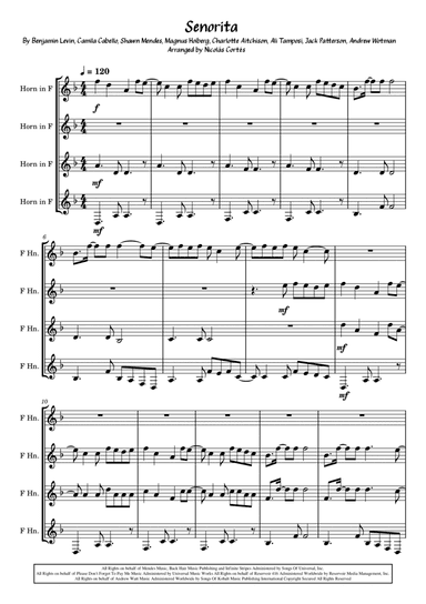 Senorita (arr. Nicolás Cortés Castillo)