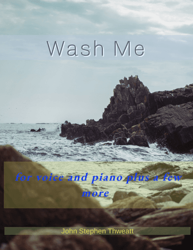 Wash Me