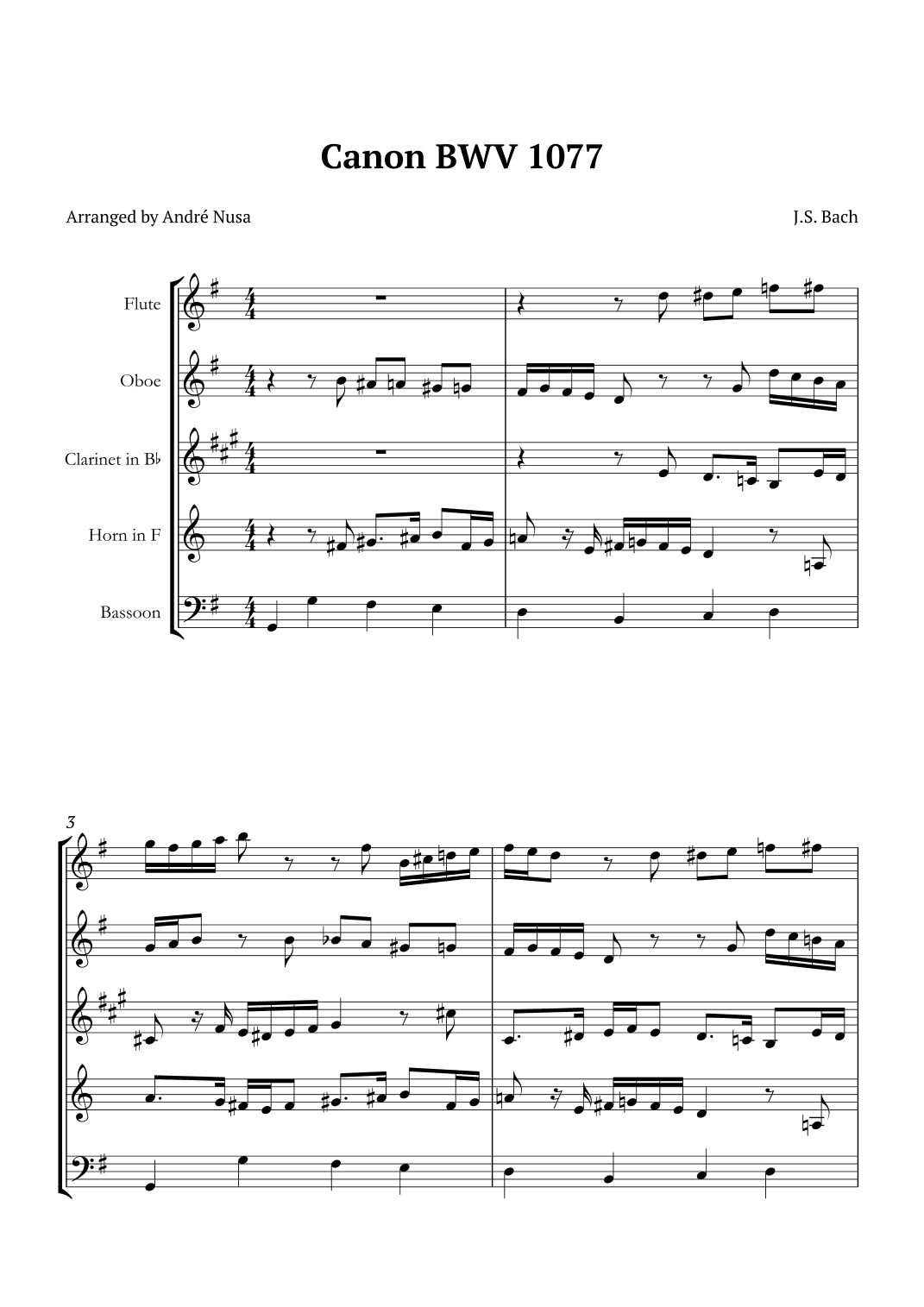 Canon BWV 1077 (arr. André Nusa)