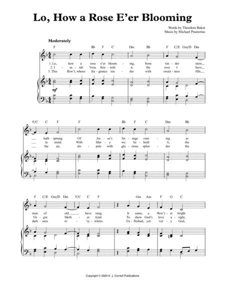 Lo, How a Rose E’er Blooming (arr. Mark Phillips)