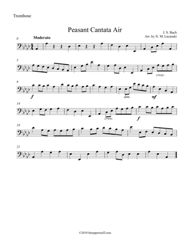 Air from Peasant Cantata (arr. Nick Lacanski)