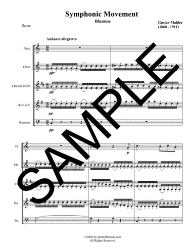Blumine Symphonic Movement for Woodwind Quintet (arr. Dorm 40 Music)