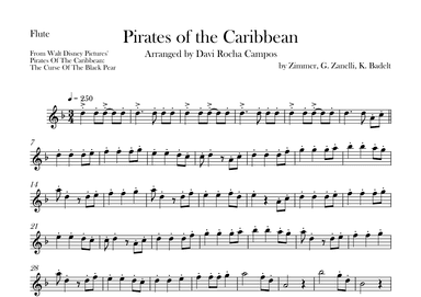 Pirates Of The Caribbean (arr. Davi Rocha Campos)