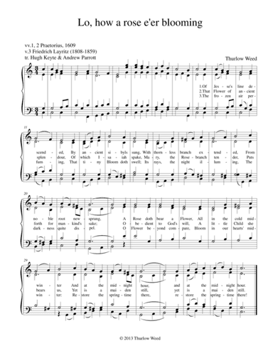 Lo, How a Rose e'er Blooming