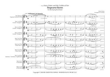 Harry Potter And The Goblet Of Fire (arr. S M Allen)