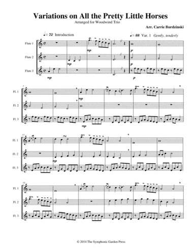 Variations on All the Pretty Little Horses - recorder trio (arr. C. Burdzinski)