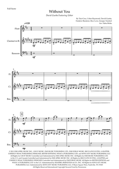 Without You (arr. Fabio Britto)