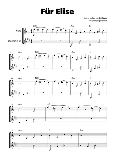 Für Elise (arr. Tiago Cordeiro)