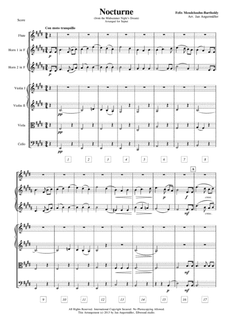 Nocturne for Septet (from Midsummer Night's Dream - StrQrt, Fl, 2Hrns) (arr. Jan Angermüller)
