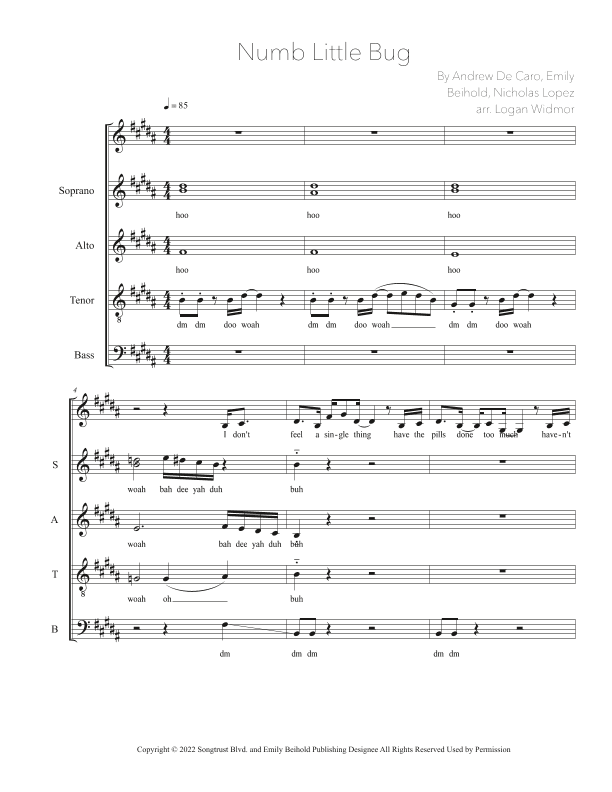 Numb Little Bug (arr. Logan Widmor)