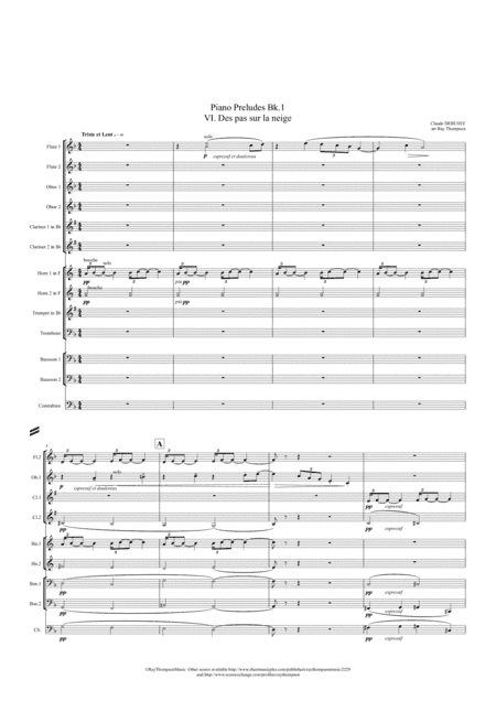 Debussy: Two Piano Preludes from Book 1 - Nos.VI Des pas sur la neige/XII Minstrels - symphonic wind (arr. Ray Thompson)