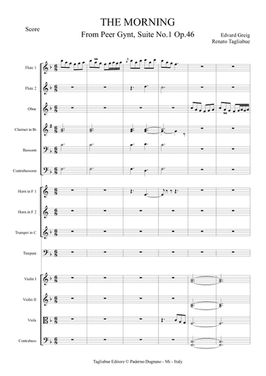 THE MORNING - From Peer Gynt, Suite No.1 Op.46 - Full orchestra (arr. Renato Tagliabue)