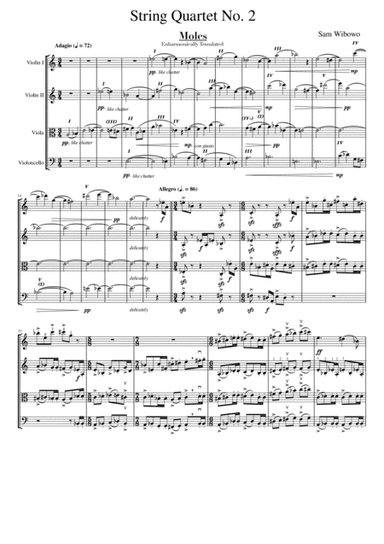 Sam Wibowo - String Quartet No. 2 "Moles"