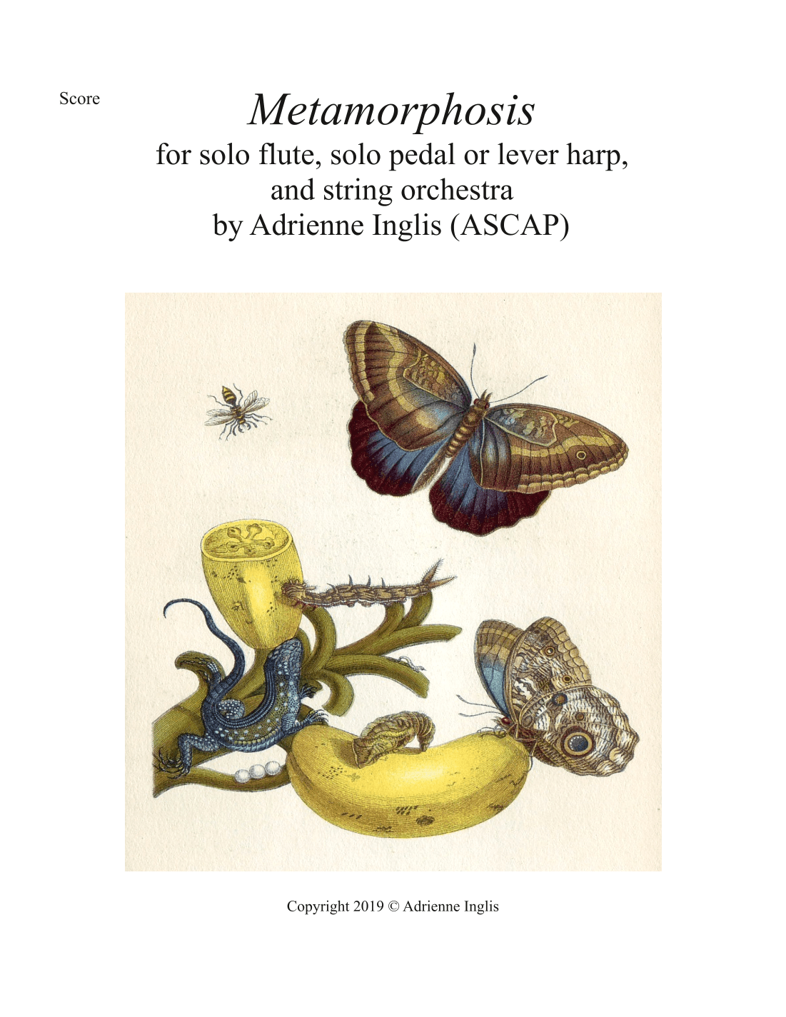 Metamorphosis for solo flute, solo pedal or lever harp, and strings