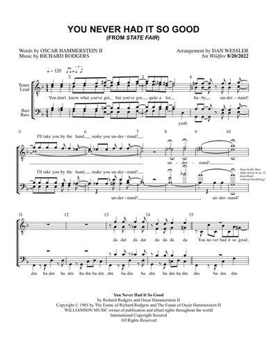 You Never Had It So Good (arr. Dan Wessler)