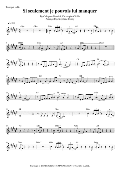 Si Seulement Je Pouvais Lui Manquer (arr. Stephane ELSINY)