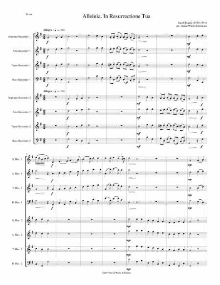 Alleluia In Resurrectione Tua arranged for recorder octet or recorder orchestra (arr. David Warin Solomons)
