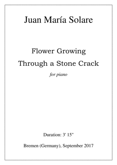 Flower Growing Through a Stone Crack [piano solo]