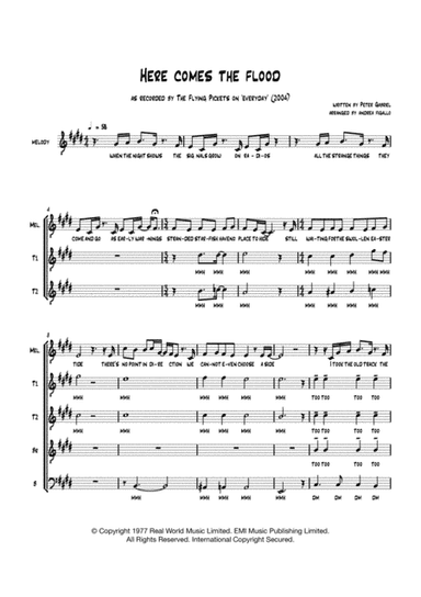 Here Comes The Flood (arr. Andrea Figallo)