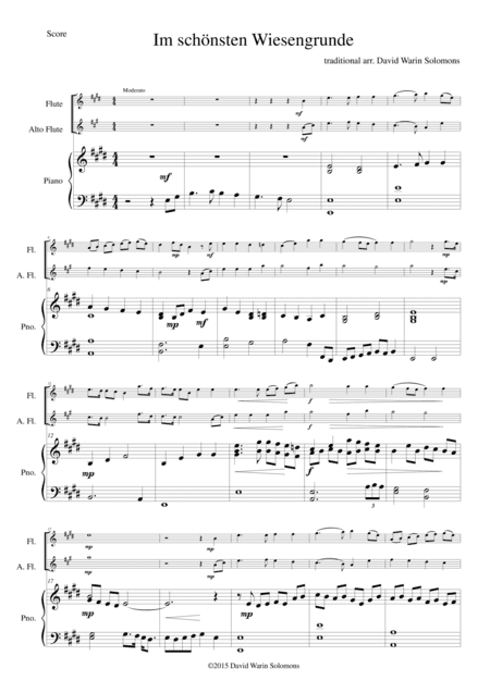 Im schönsten Wiesengrunde for flute, alto flute and piano (arr. David Warin Solomons)